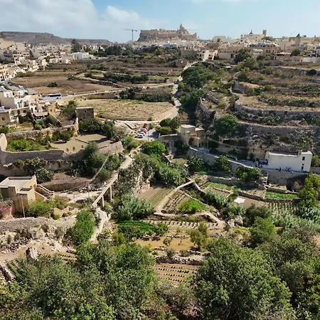 Sylvia' S Millhouse *