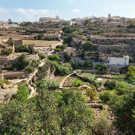 Sylvia' S Millhouse * Kerċem