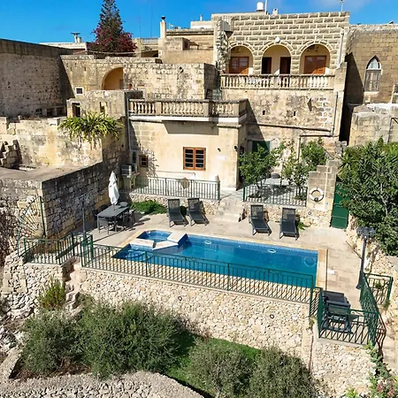 Sylvia' S Millhouse * Kerċem