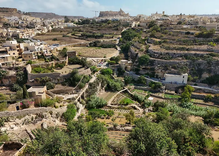 Sylvia' S Millhouse *